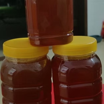 纯野生蜂蜜