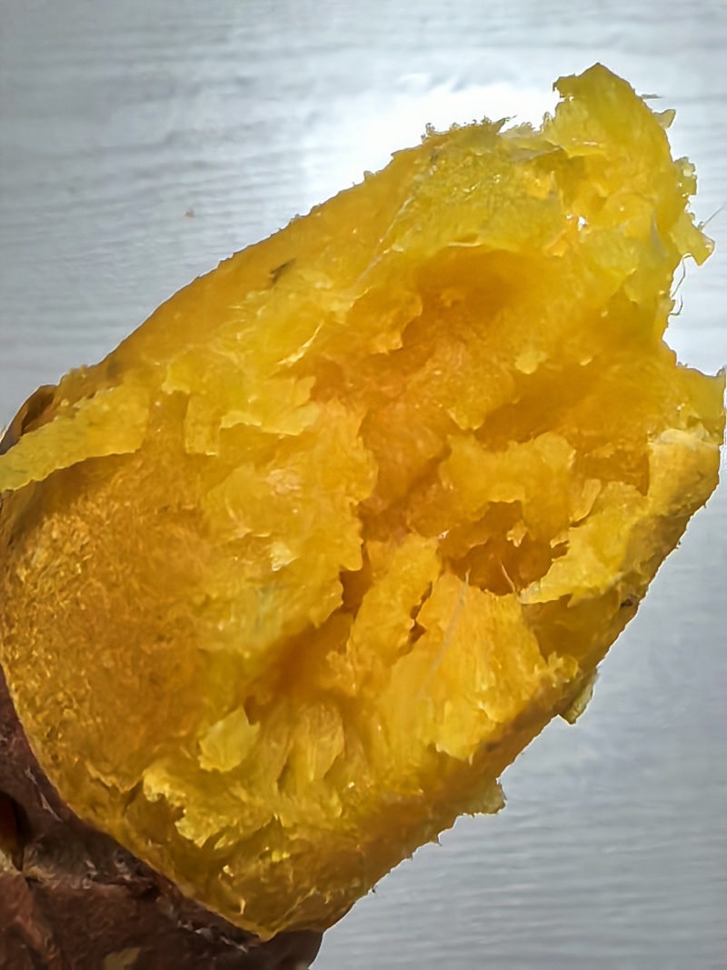 北京市延庆沈家营西王化烟薯25