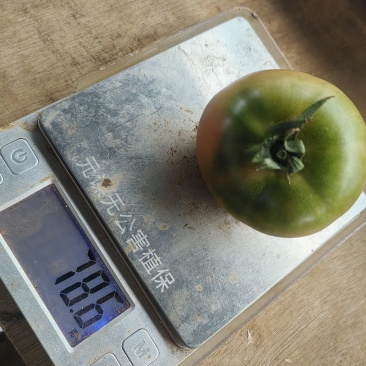 草莓番茄