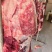 河南正宗新鲜黄牛肉