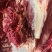 河南正宗新鲜黄牛肉