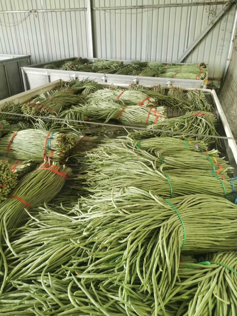 豆角