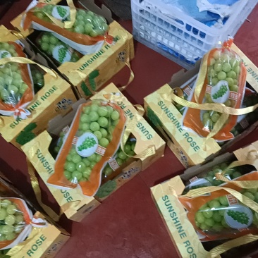 阳光玫瑰葡萄