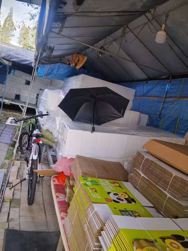 成都绿心猕猴桃。原产地发货，好吃不贵