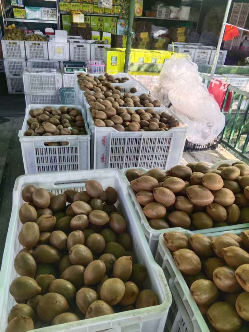 成都绿心猕猴桃。原产地发货，好吃不贵