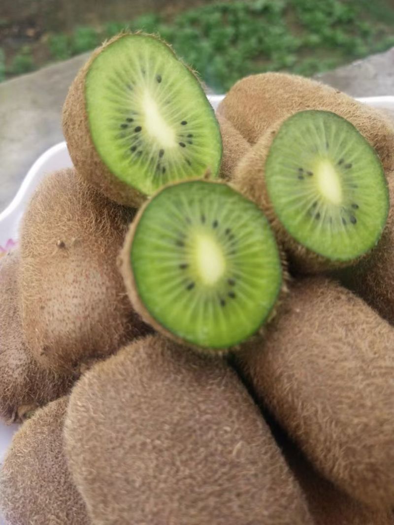 贵州省毕节市七星关区燕子口镇生态种植猕猴桃无任何添加剂。