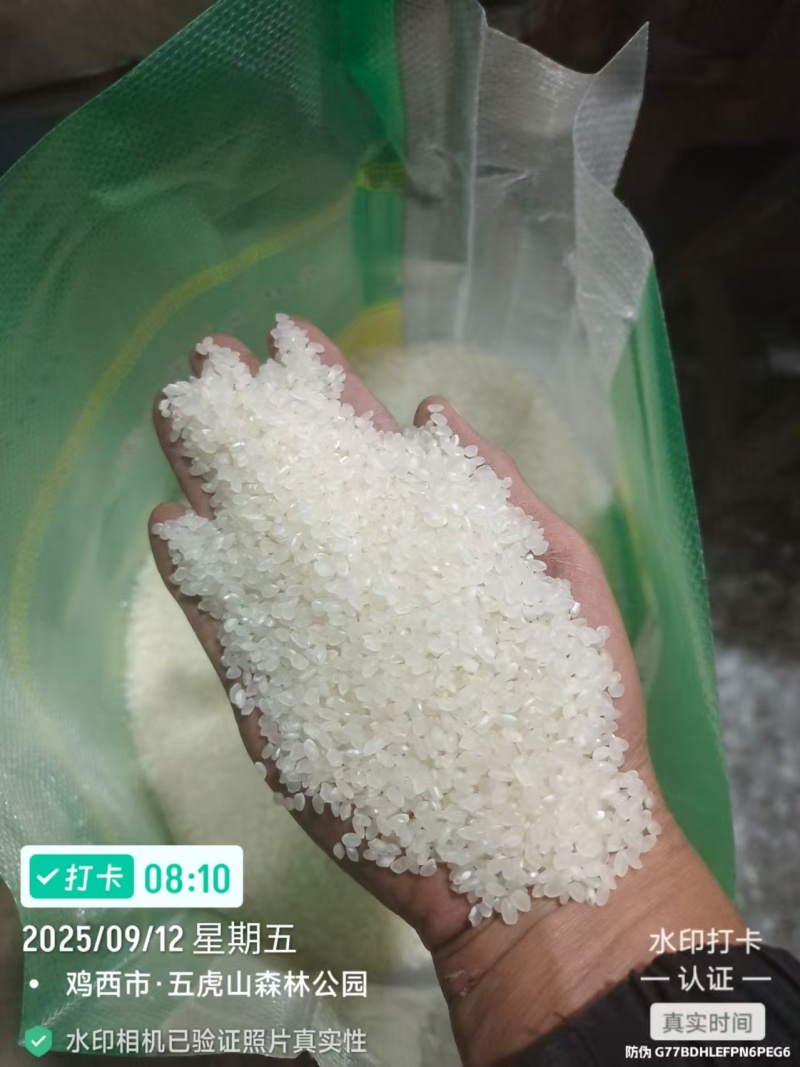 珍珠米彩包