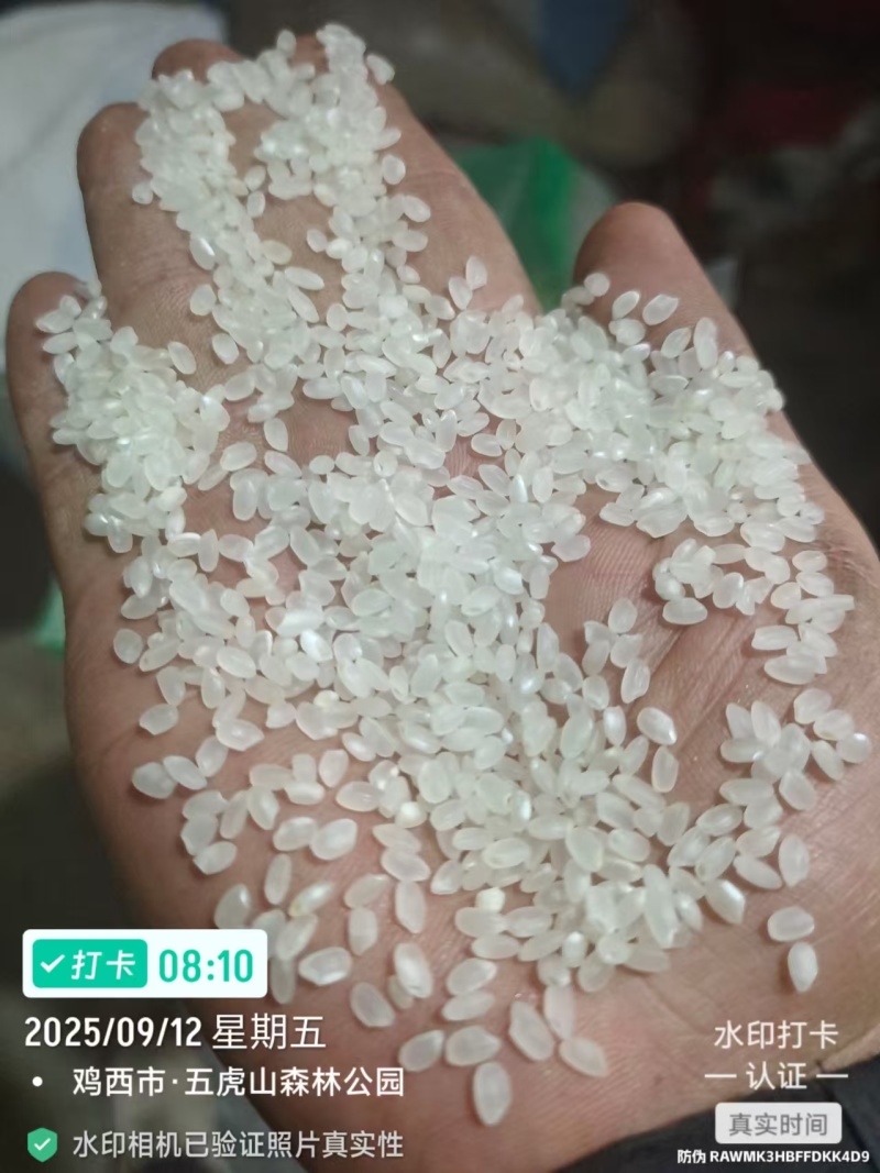 珍珠米彩包