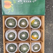 贝贝南瓜