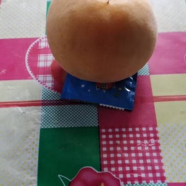 冷库里的西润黄桃