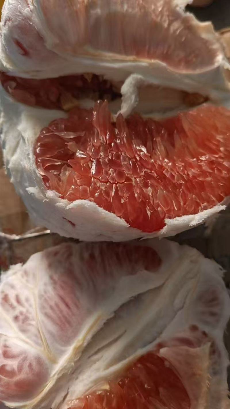 三红蜜柚