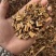 凤仙透骨草