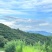 山茶油（带有机、富硒认证），精品货，带礼盒包装。