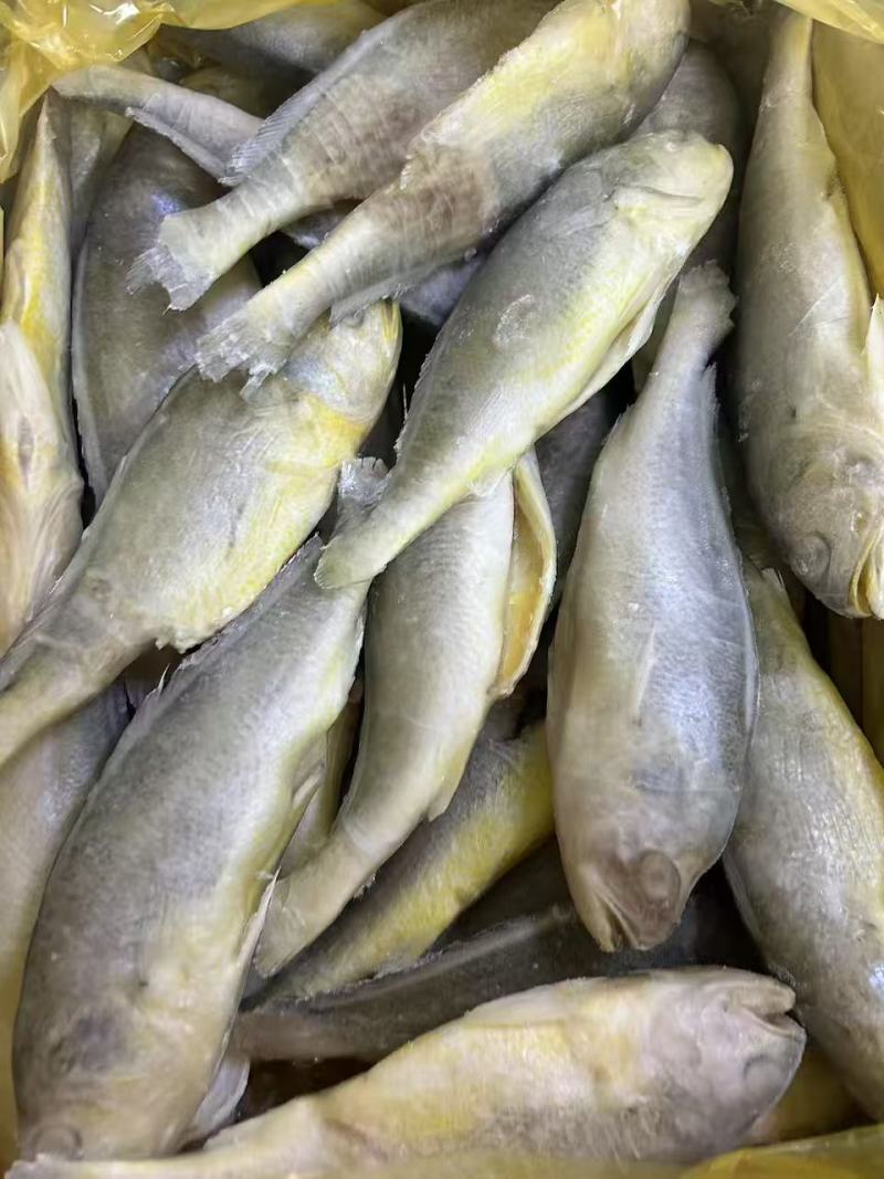 品名：黄花鱼规格：一箱十斤，两种规格大小都有开堂去肠去腮