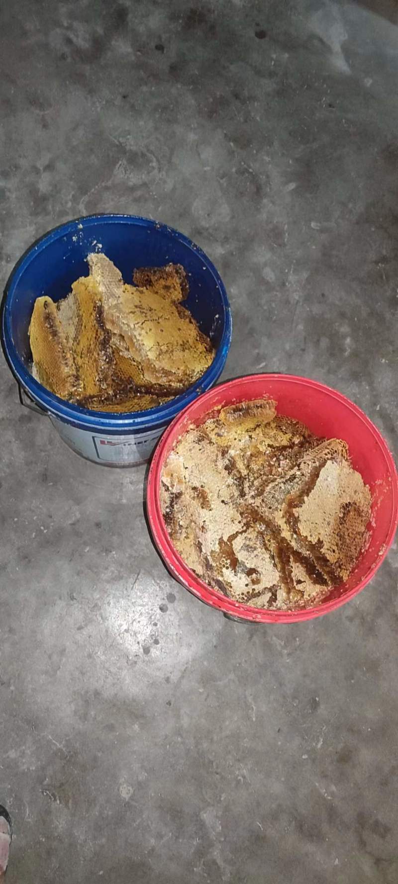 八百里伏牛山土蜂蜜