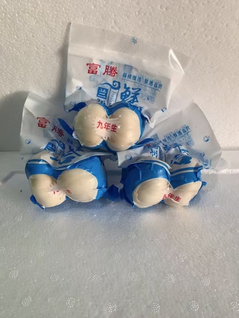 兰州鲜百合