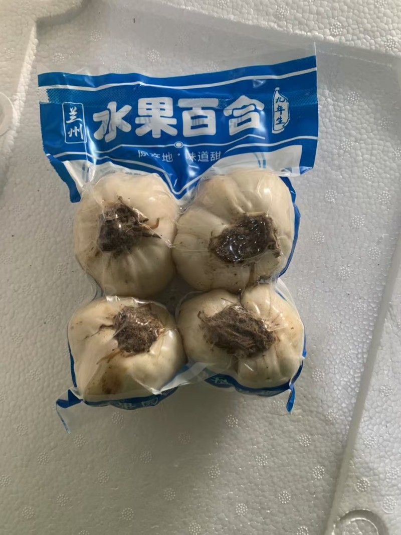 兰州鲜百合