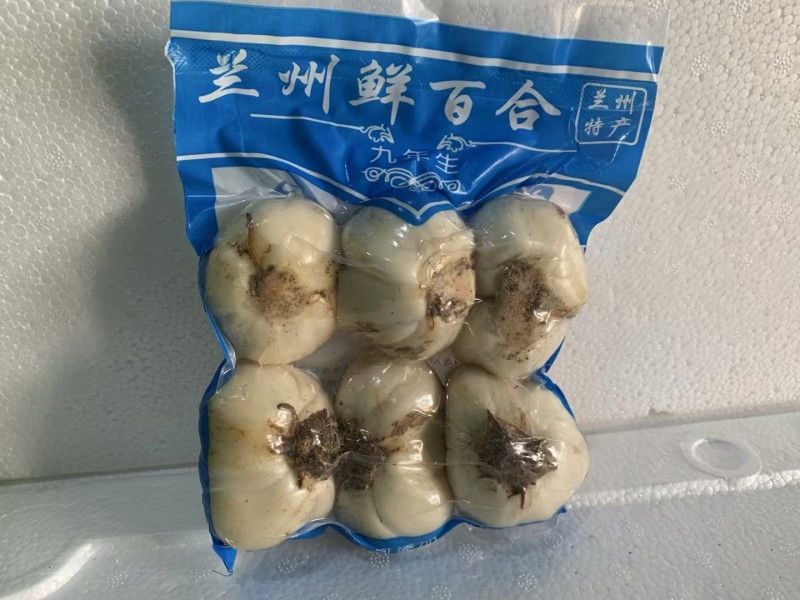 兰州鲜百合