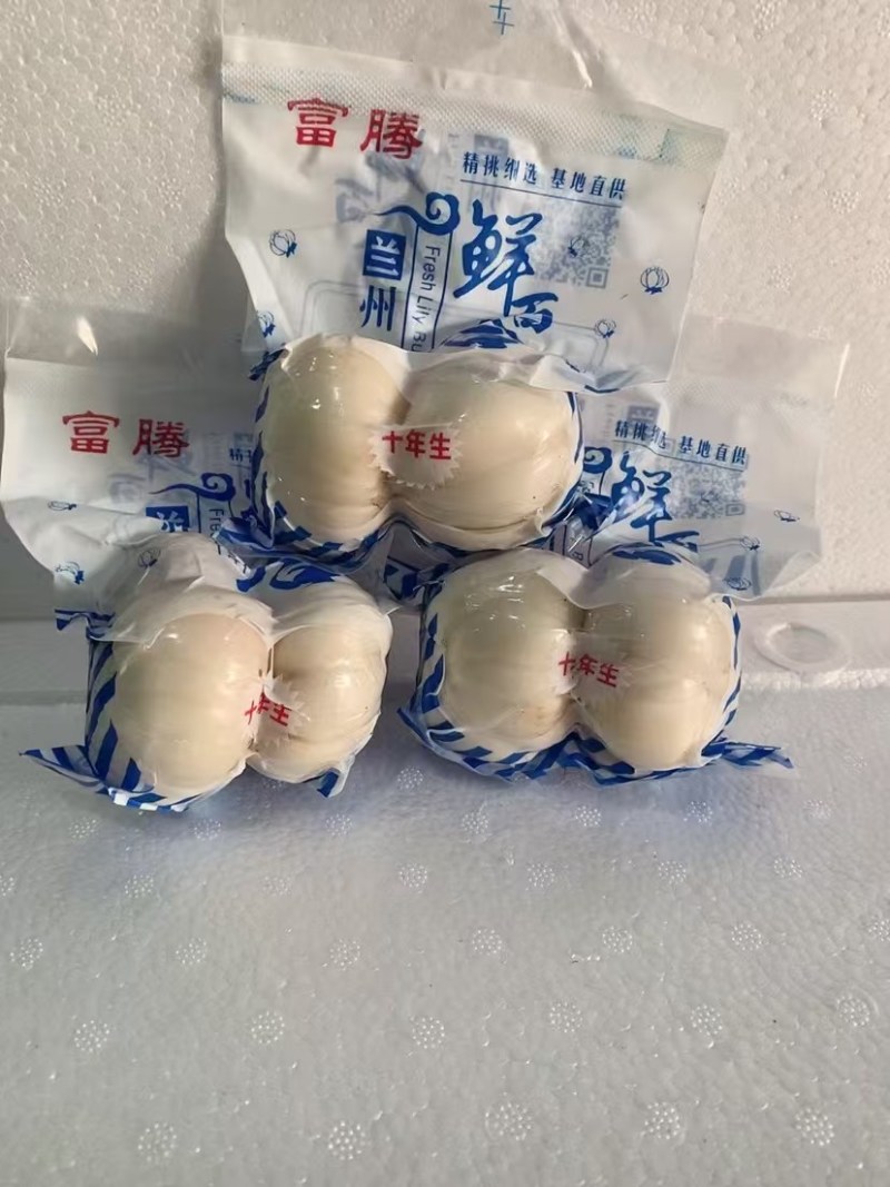 兰州鲜百合