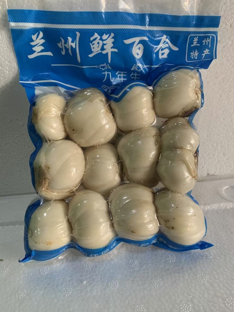 兰州鲜百合