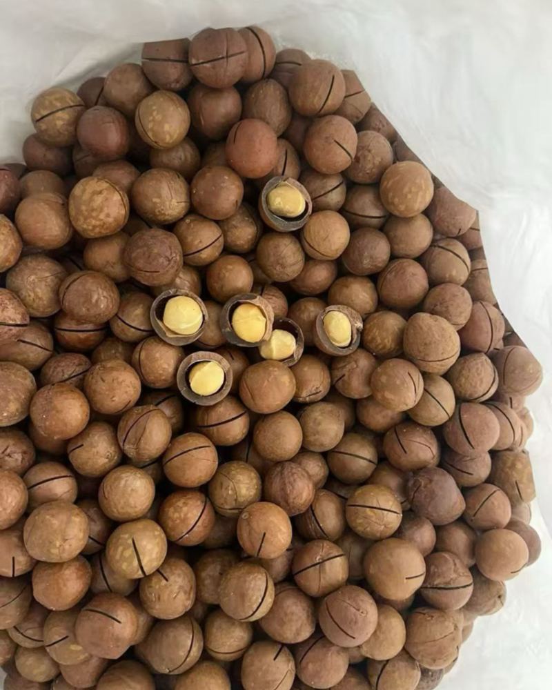 夏威夷果