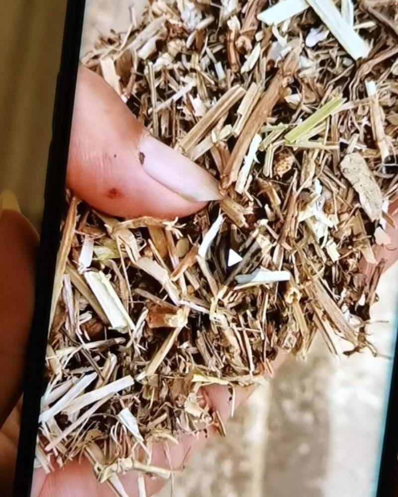 干花生秧草