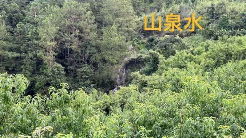 基地直发，常年供货，品质保证。