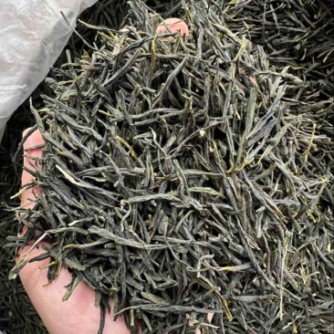 毛尖茶