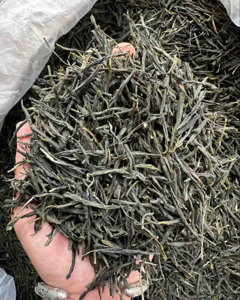 毛尖茶