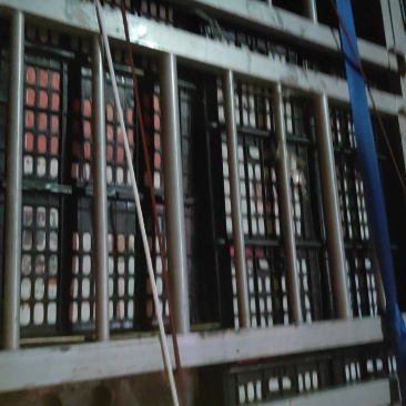 小金桔