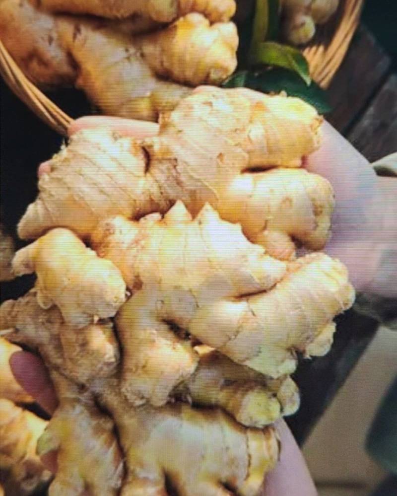 小黄姜