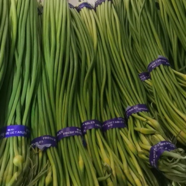 常年岀售精品精装，白帽蒜苔，红帽蒜苔，常年有货