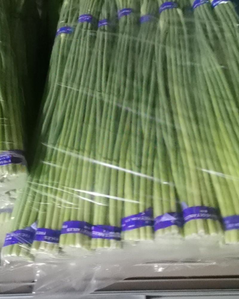 常年岀售精品精装，白帽蒜苔，红帽蒜苔，常年有货