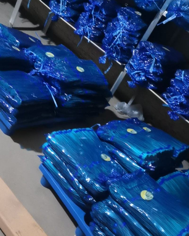 常年岀售精品精装，白帽蒜苔，红帽蒜苔，常年有货