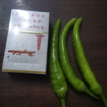 制种辣辣，青辣椒，红辣椒鲜货。