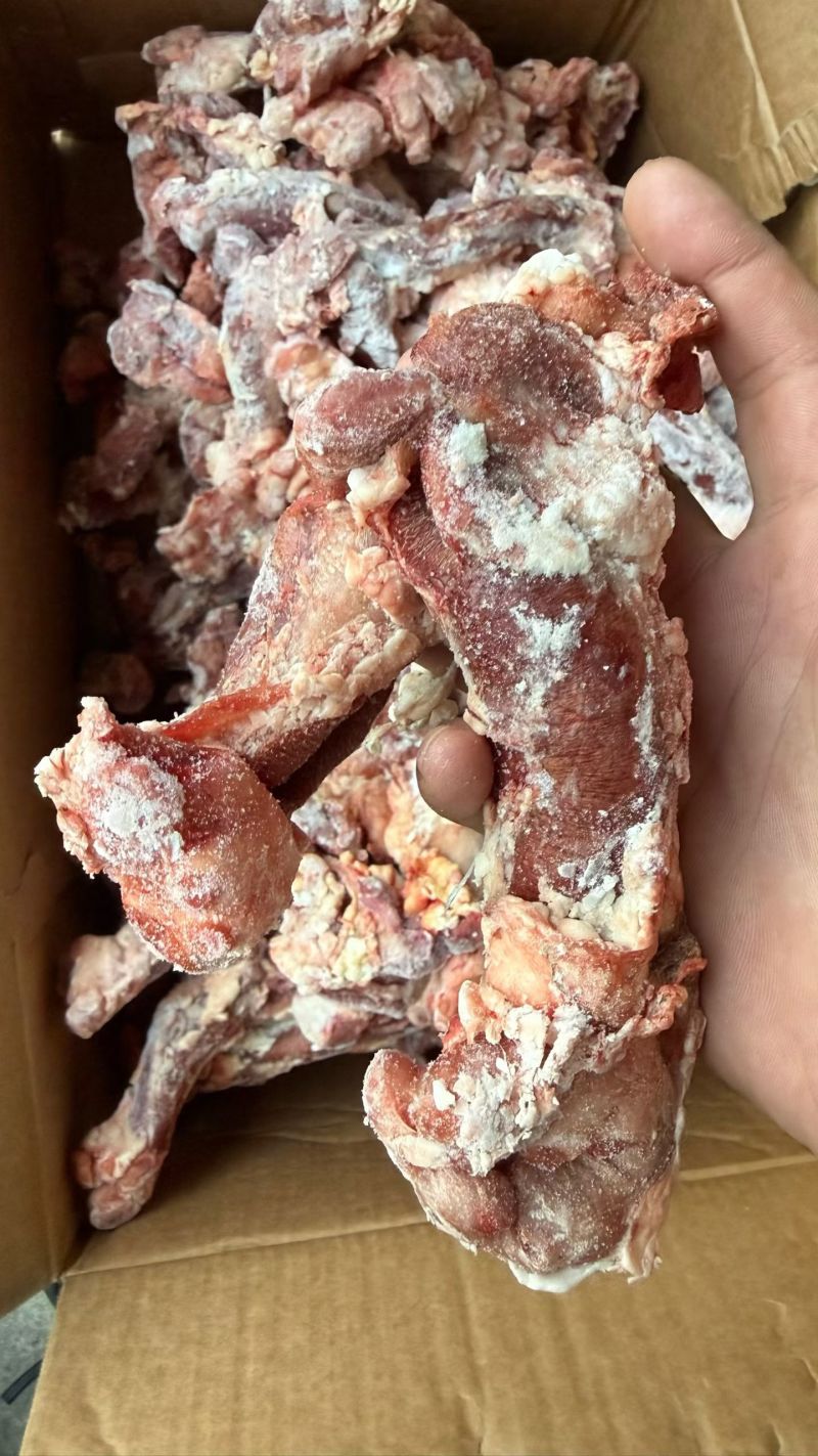 牛鞭根