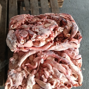 牛心管