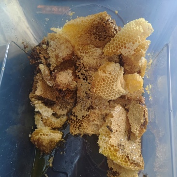 贵州高山百蜜，