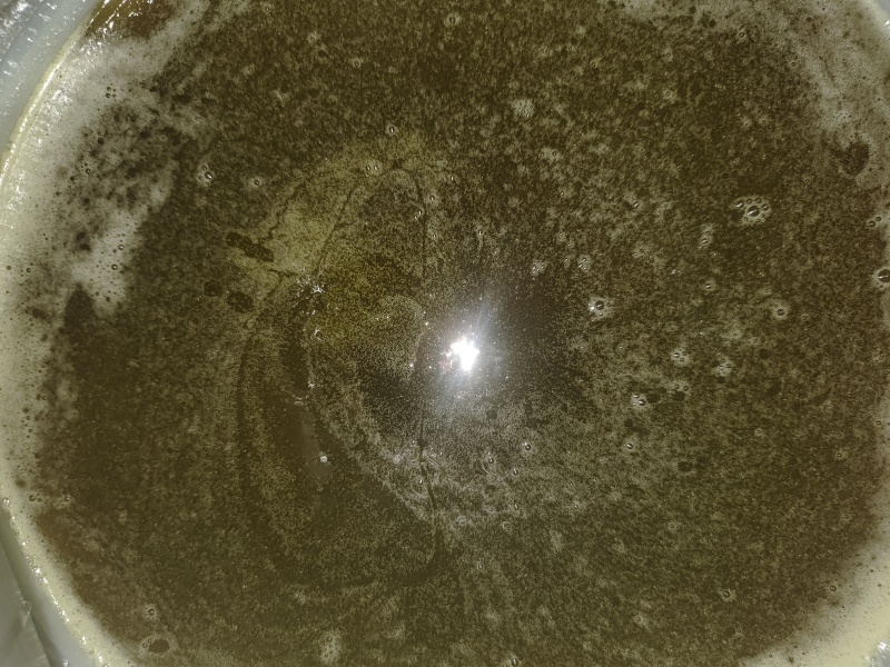 贵州高山百蜜，