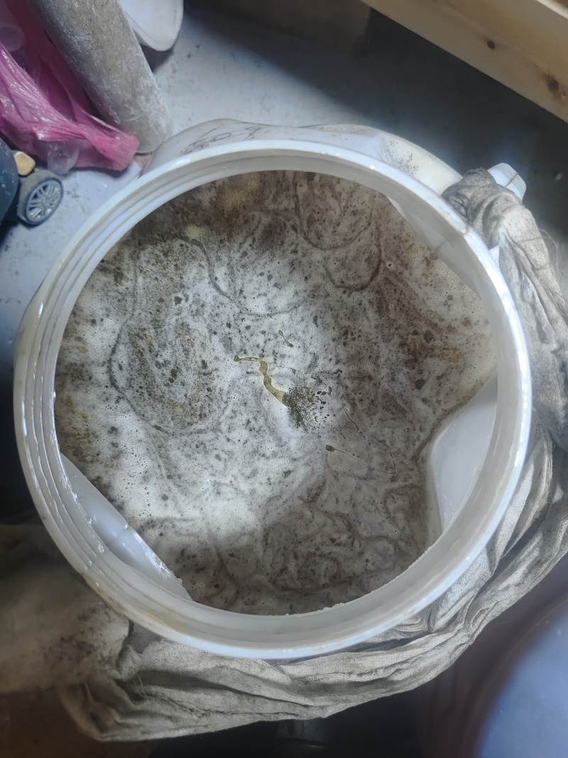 贵州高山百蜜，