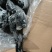 无药残乌鸡8只/9.5kg