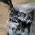 无药残乌鸡8只/9.5kg