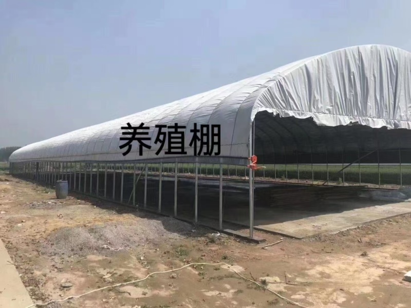 种植棚、养殖棚、连栋温室等，免费设计画图预算