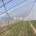 种植棚、养殖棚、连栋温室等，免费设计画图预算