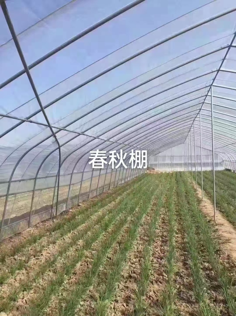 种植棚、养殖棚、连栋温室等，免费设计画图预算