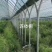 种植棚、养殖棚、连栋温室等，免费设计画图预算