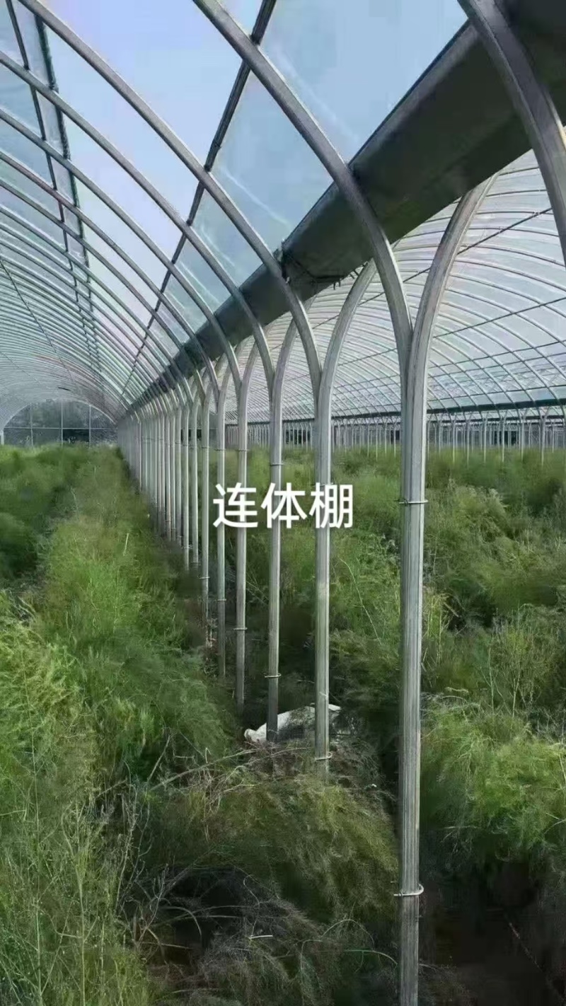 种植棚、养殖棚、连栋温室等，免费设计画图预算