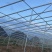 种植棚、养殖棚、连栋温室等，免费设计画图预算