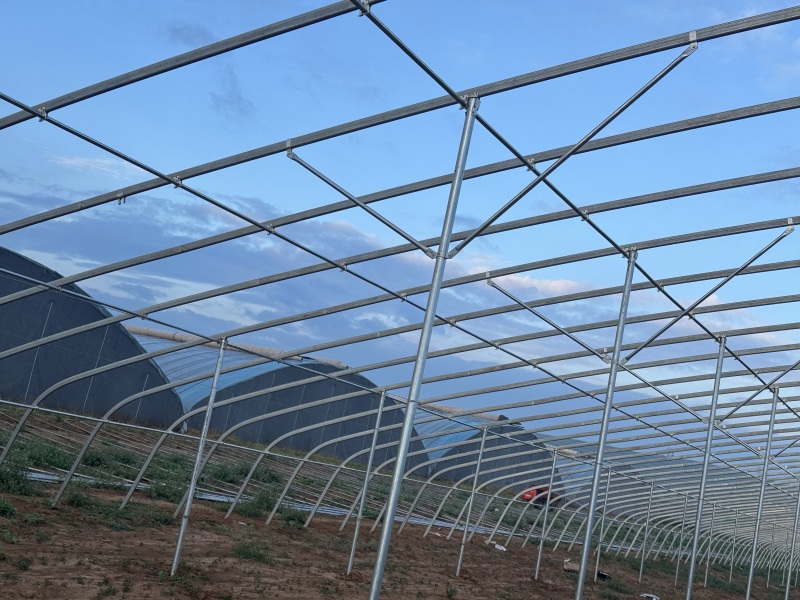 种植棚、养殖棚、连栋温室等，免费设计画图预算