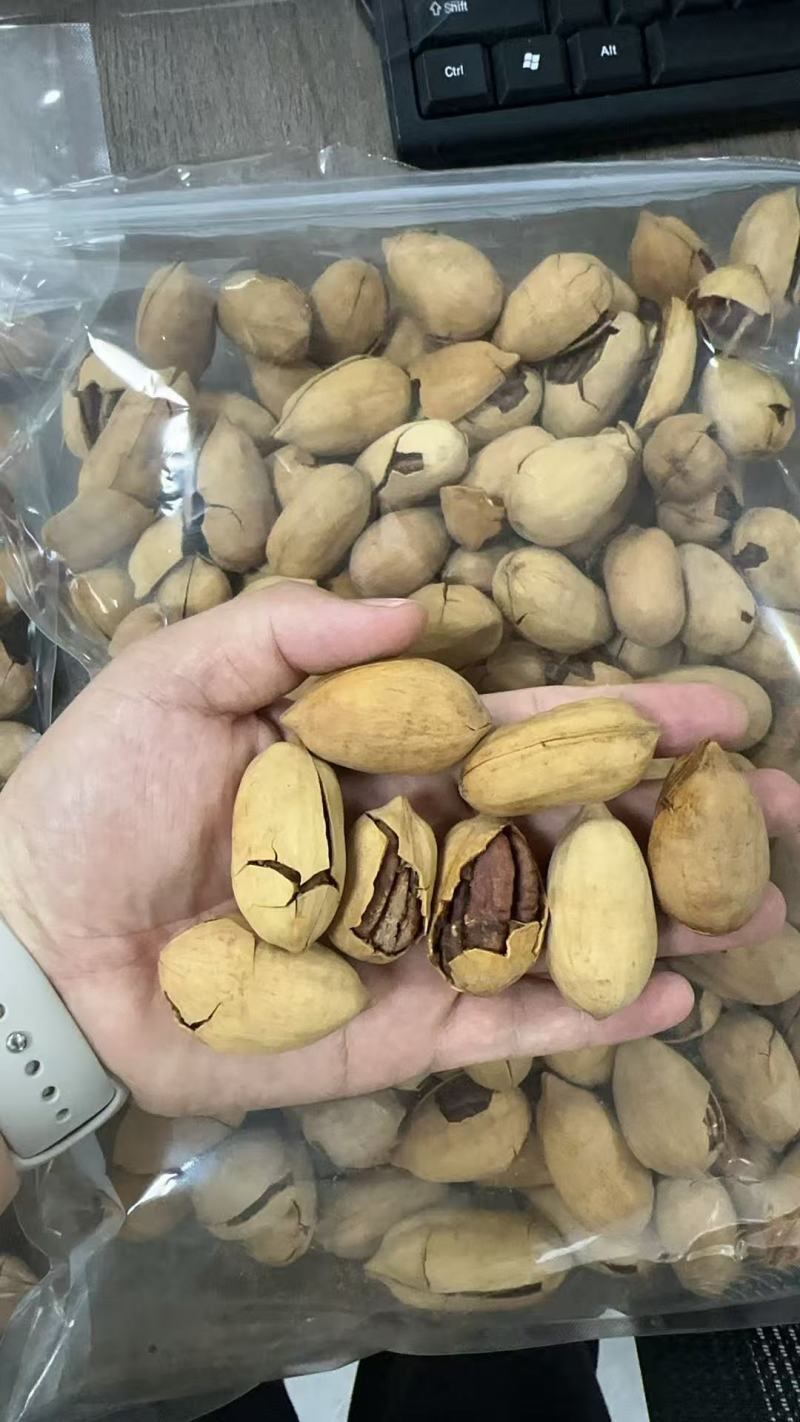 碧根果新货电商代发批量拿货